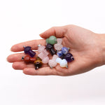 Gemstone Mushrooms Pendants (12 asst) 20x15mm