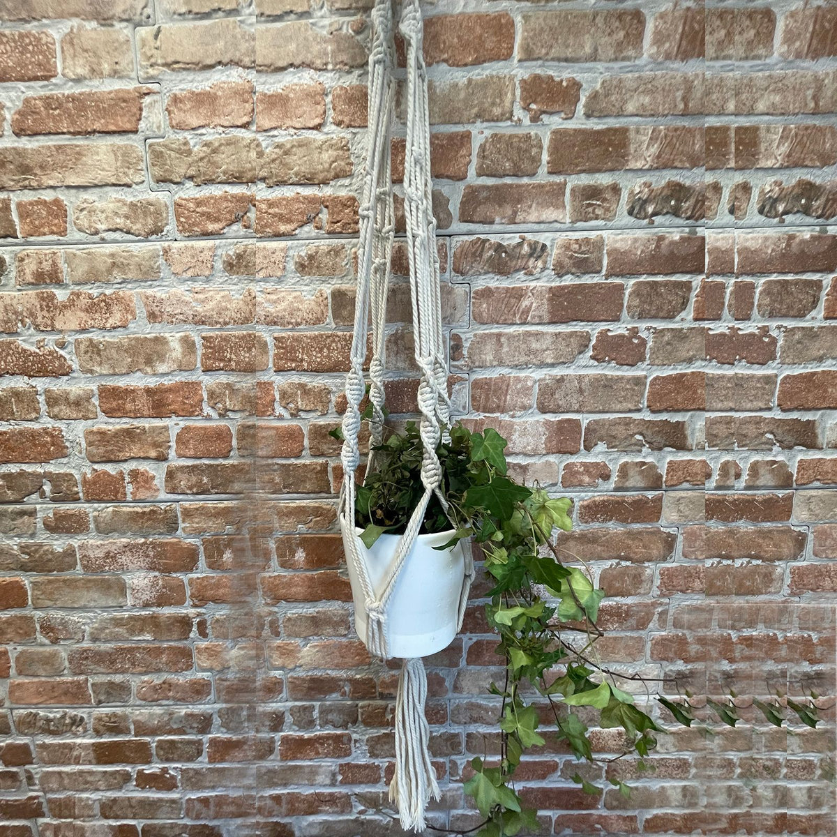Macrame Pot Holder - Large Extra Long